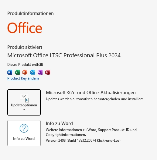 Microsoft Office 2024 Professional Plus | Download (ESD) | für Windows