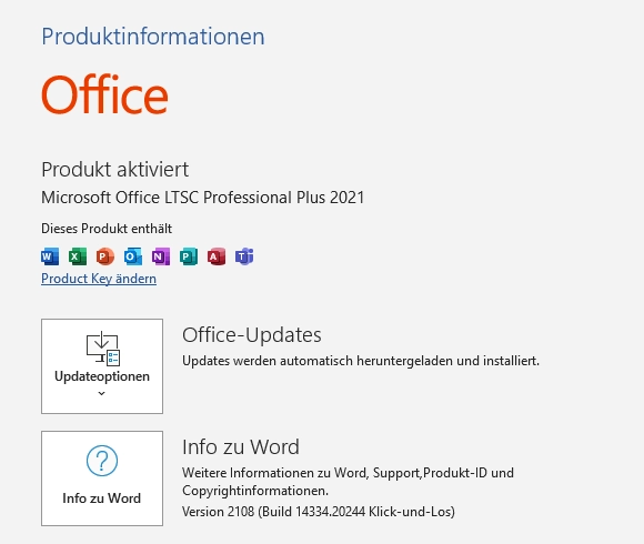 Microsoft Office 2021 Professional Plus | Download (ESD) | für Windows