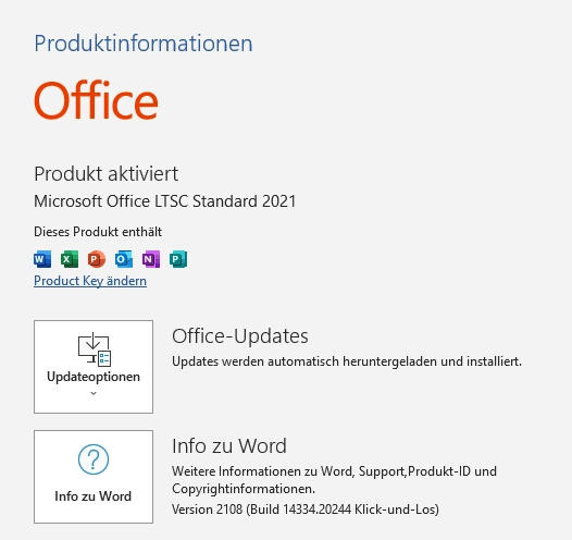 Microsoft Office 2021 Standard | Download (ESD) | für Windows