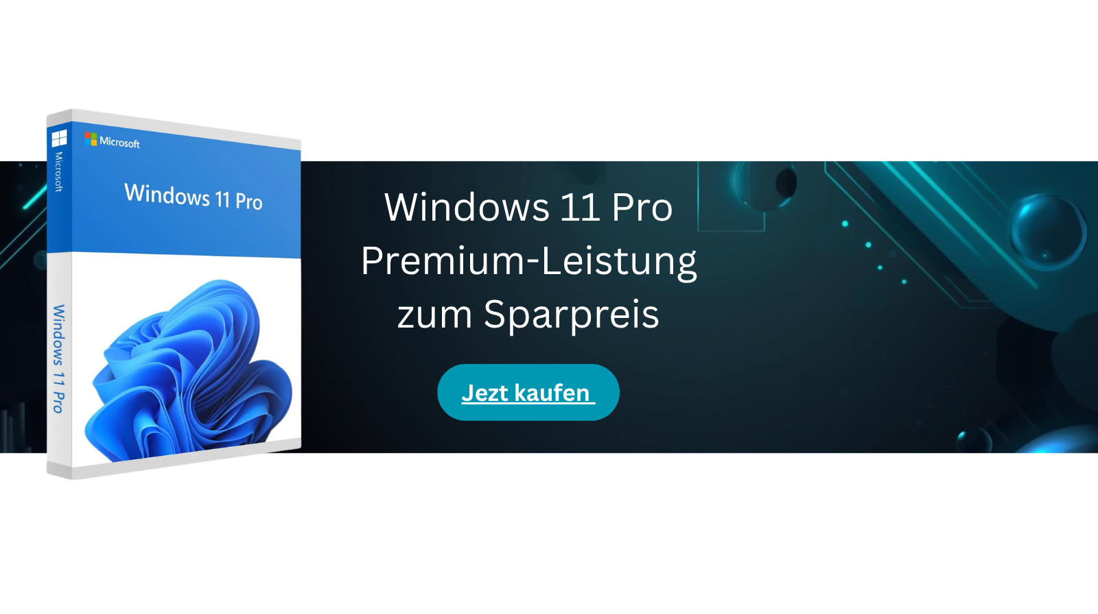 Banner Win 11Pro